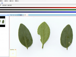 植物表型分析系統